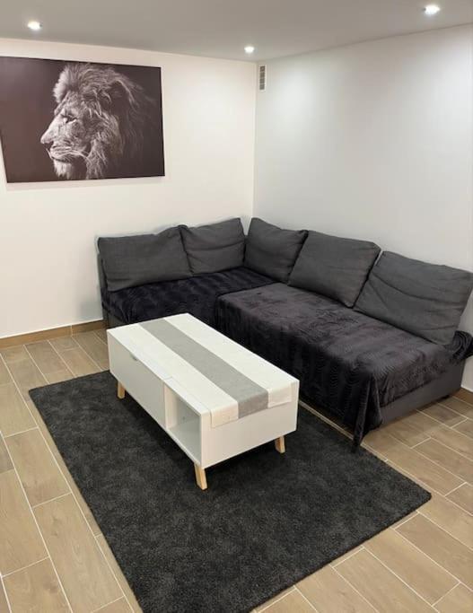 Logement Neuf A 25Mn Disneyland Et Paris Est Thorigny-sur-Marne Bagian luar foto